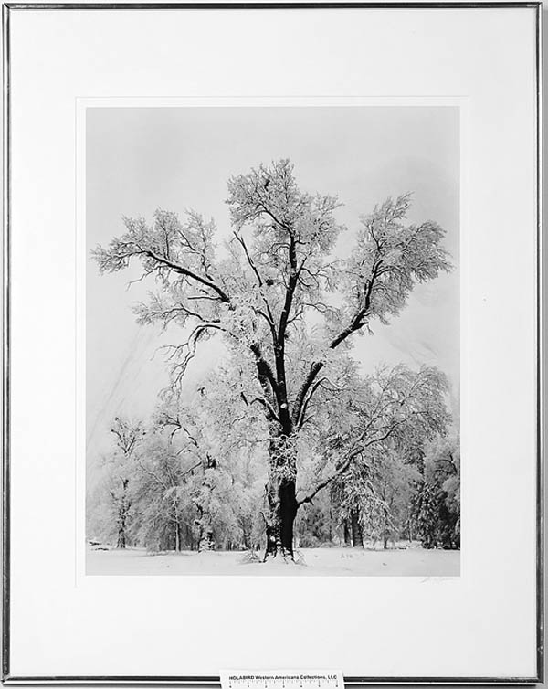 Antiques and Auction News Article: Signed Ansel Adams Photo, Ca. 1959, Sells For $38,750 